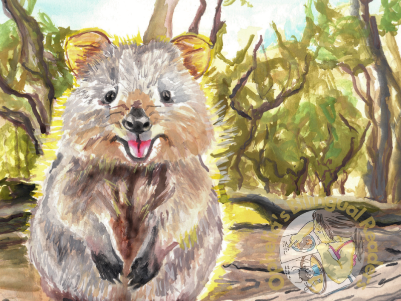 El Quokka: Bilingual English and Spanish Reader for&nbsp;Kids